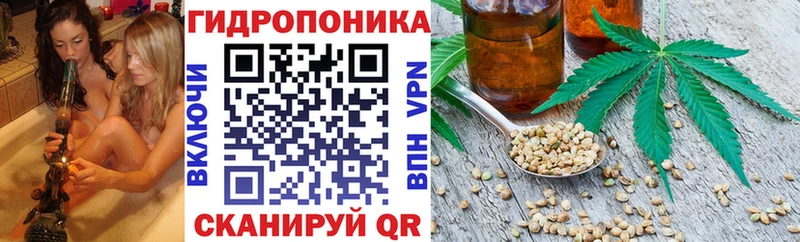 дарк нет официальный сайт что такое Волжский Конопля марихуана